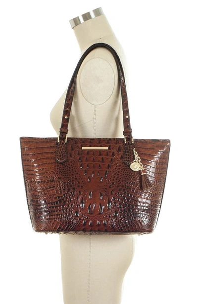 Brahmin Medium Asher Melbourne Embossed Leather Tote In Pecan