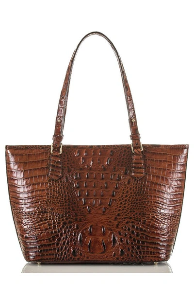 Brahmin Medium Asher Melbourne Embossed Leather Tote In Pecan