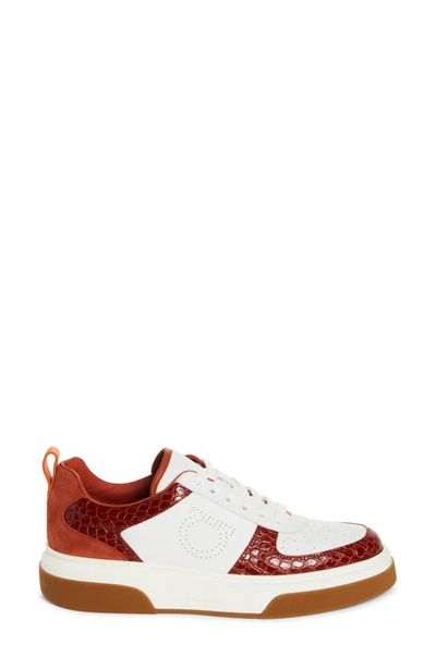 Shop Ferragamo Cassina Gancio Colorblock Sneaker In Sequoia Red/ Ramas Bianco
