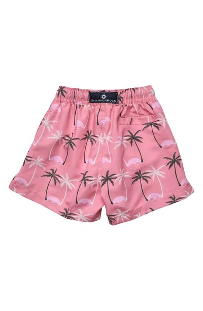 Shop Snapper Rock Palm Recycled Blend Volley Board Shorts In Pink