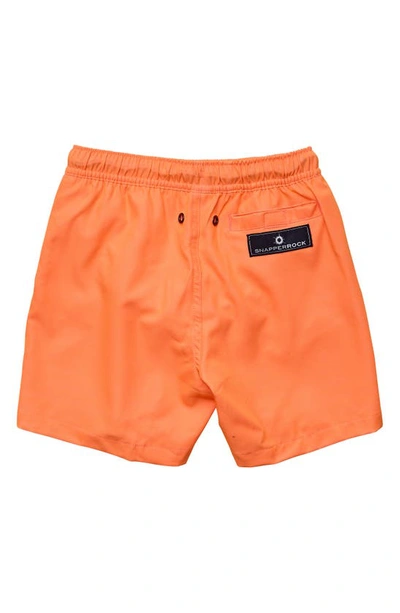 Shop Snapper Rock Kids' Tangerine Volley Shorts In Orange