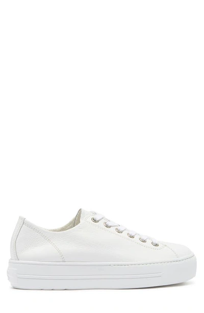 Paul Green Women's Bixby Low Top Platform Sneakers In Wht Lea