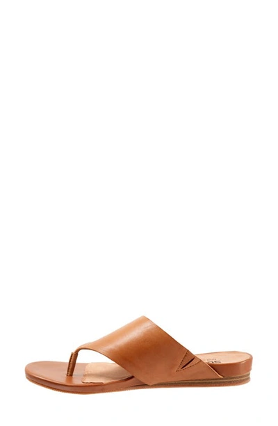 Softwalk Chandler Sandal In Luggage