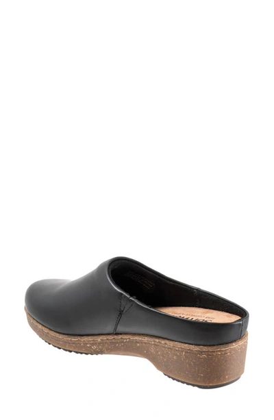 Softwalk Arvada Mule In Black