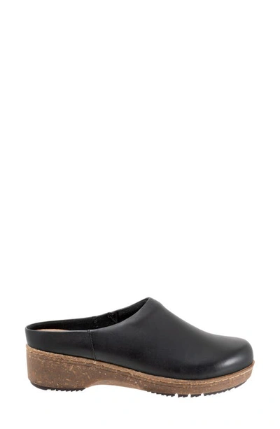 Softwalk Arvada Mule In Black