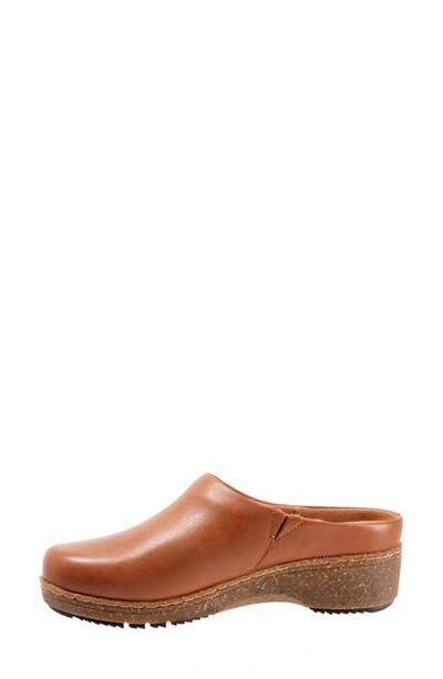 Softwalk Arvada Mule In Luggage