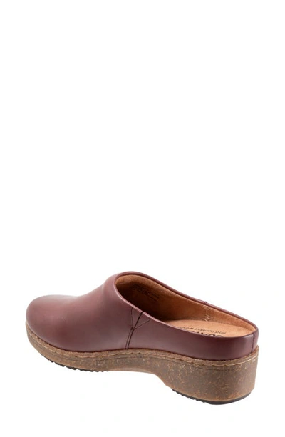 Softwalk Arvada Mule In Dark Cherry