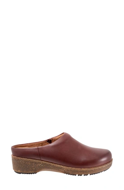 Softwalk Arvada Mule In Dark Cherry