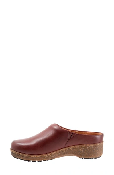 Softwalk Arvada Mule In Dark Cherry