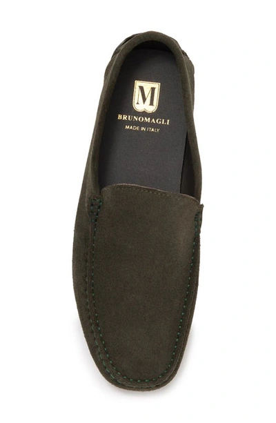Shop Bruno Magli Xenia Driver Loafer In Military Green Suede
