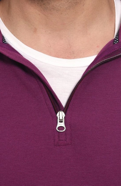 Robert Graham Polaris Embroidered Skull Quarter Zip Pullover In Berry