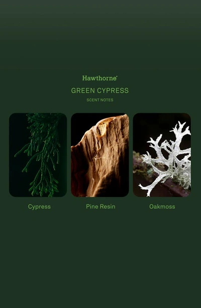 Hawthorne Green Cypress Eau De Parfum In Green