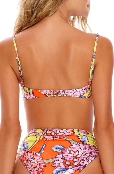 Shop Agua Bendita Piper Suki Underwire Bikini Top In Multi