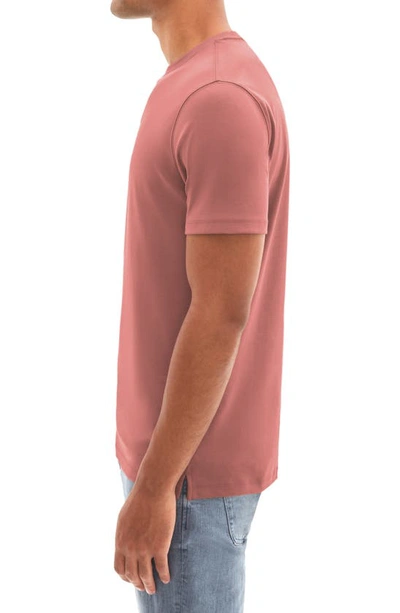 Shop Robert Barakett Georgia Pima Cotton T-shirt In Flamingo