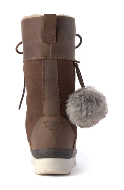Shop Manitobah Pacific Waterproof Winter Boot In Charcoal