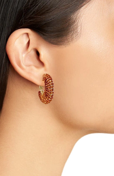 Shop Gas Bijoux Izzia Beaded Hoop Earrings In Brown