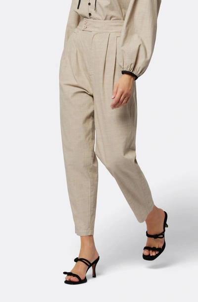 Shop Joie Nadia Cotton Pants In White In Gray