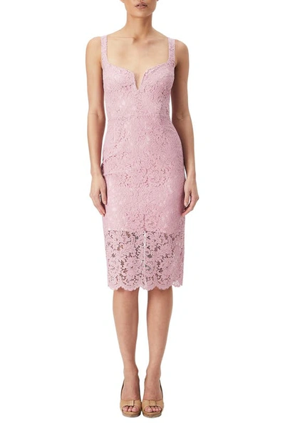 Shop Bardot Adeline Lace Sheath Midi Dress In Lili Pink