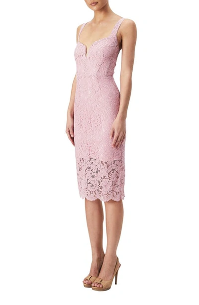 Shop Bardot Adeline Lace Sheath Midi Dress In Lili Pink