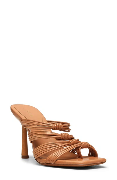Shop Joie Olive Slide Sandal