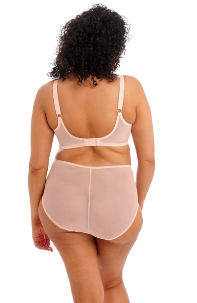Elomi Matilda Full Figure Underwire Plunge Bra In Pearl Blush