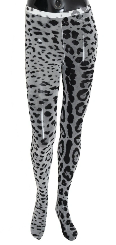 Shop Dolce & Gabbana Gray Leopard Print Mesh Nylon Women's Tights