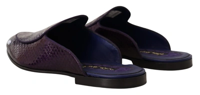 Shop Dolce & Gabbana Purple Exotic Python Leather Men's Slides
