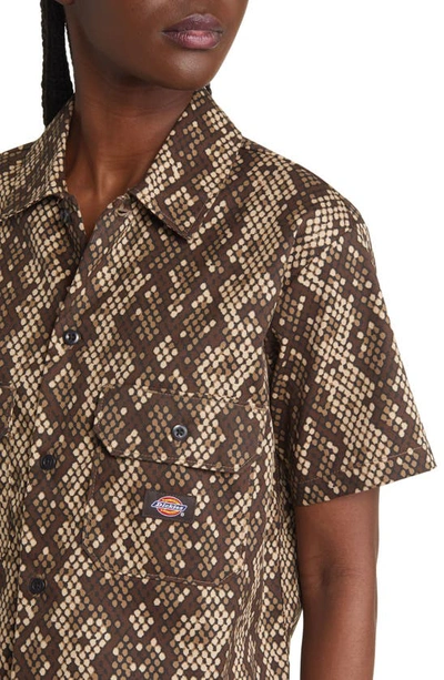 Shop Dickies Camden Snake Print Crop Twill Shirt In Brown
