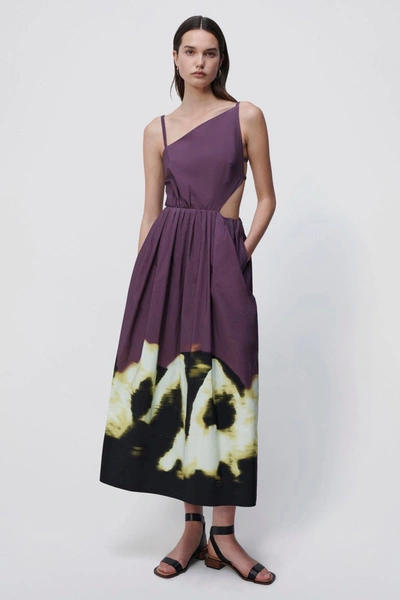 Shop Jonathan Simkhai Collene Cotton Poplin Midi Dress In Raisin Multi