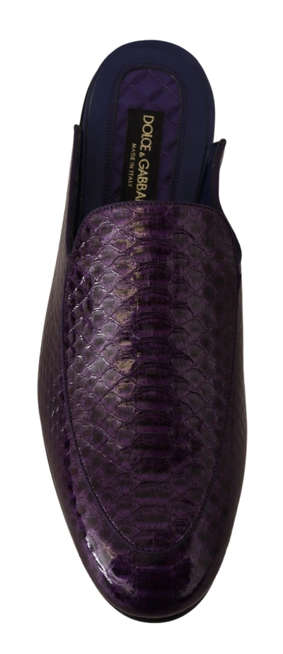 Shop Dolce & Gabbana Exotic Leather Flats Slides Men's Shoes In Purple