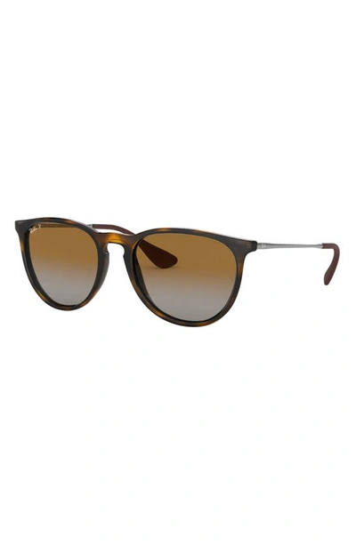 Shop Ray Ban 54mm Polarized Gradient Round Sunglasses In Havana