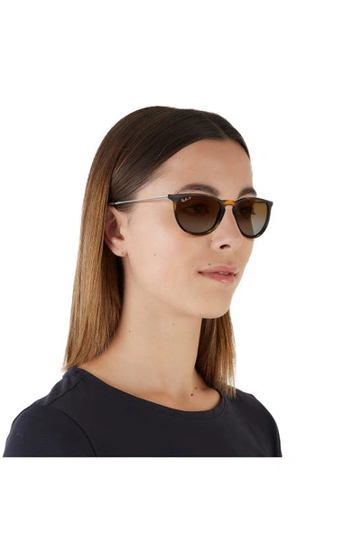 Shop Ray Ban 54mm Polarized Gradient Round Sunglasses In Havana