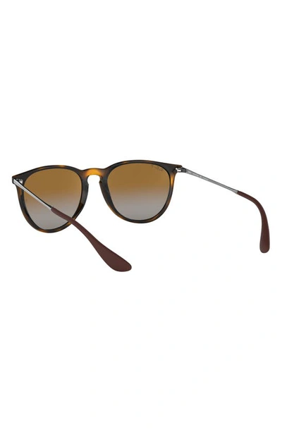Shop Ray Ban 54mm Polarized Gradient Round Sunglasses In Havana