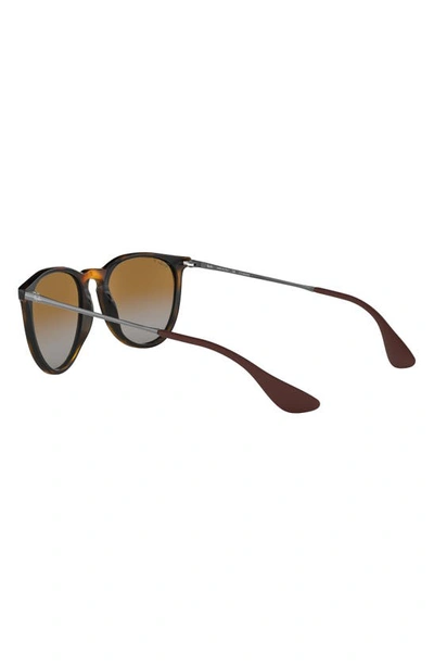 Shop Ray Ban 54mm Polarized Gradient Round Sunglasses In Havana
