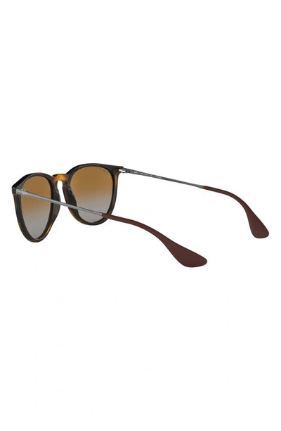 Ray Ban 54mm Polarized Gradient Round Sunglasses In Havana