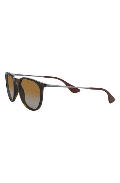 Shop Ray Ban 54mm Polarized Gradient Round Sunglasses In Havana