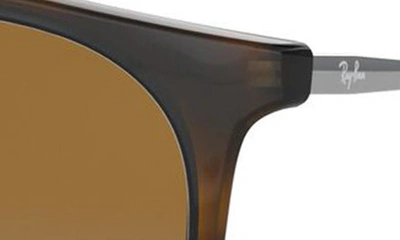 Ray Ban 54mm Polarized Gradient Round Sunglasses In Havana