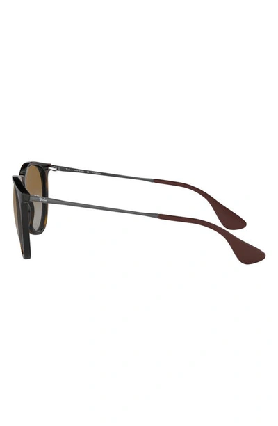 Ray Ban Erika Classic 54mm Sunglasses - Havana In Brown