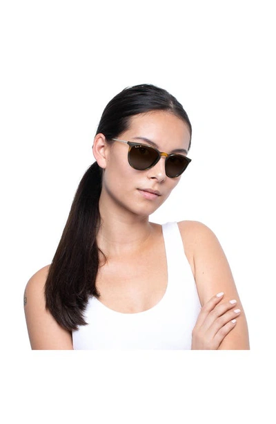 Ray Ban Erika Classic 54mm Sunglasses - Havana In Brown