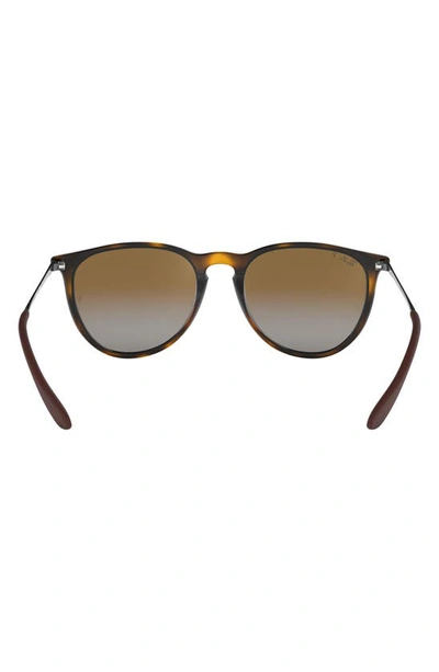 Ray Ban Erika Classic 54mm Sunglasses - Havana In Brown