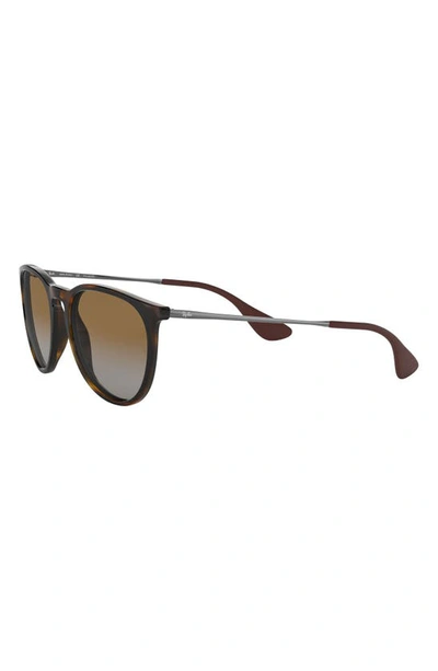 Ray Ban Erika Classic 54mm Sunglasses - Havana In Brown