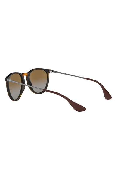 Ray Ban Erika Classic 54mm Sunglasses - Havana In Brown