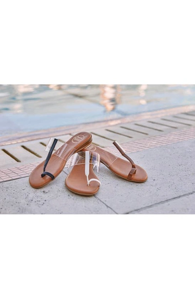 Shop Andre Assous Nailah Toe Loop Sandal In Clear/ Cuero