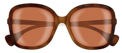 Shop Gucci Gg1178s 004 Butterfly Sunglasses In Orange
