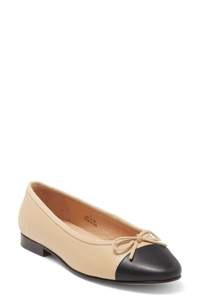 Shop Jeffrey Campbell Arabesque Ballet Flat In Natural Black