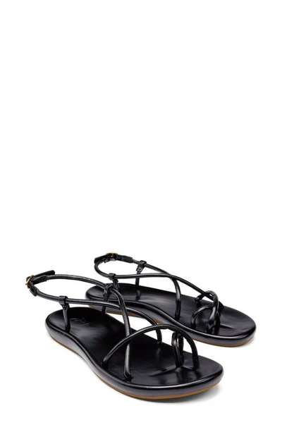 Shop Olukai Waiau Sandal In Black / Black