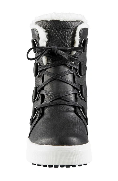 Shop Baffin High Park Waterproof Winter Boot In Black