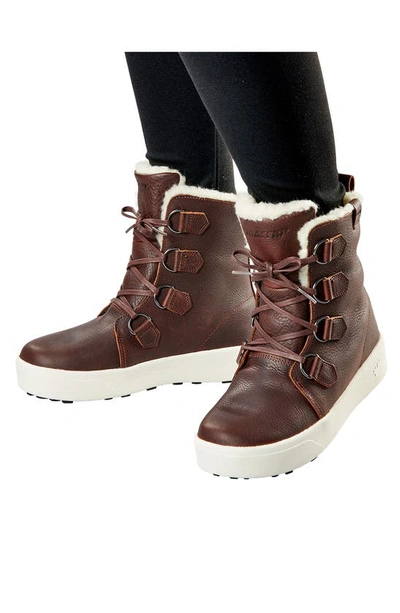 Baffin High Park Waterproof Winter Boot In Brown