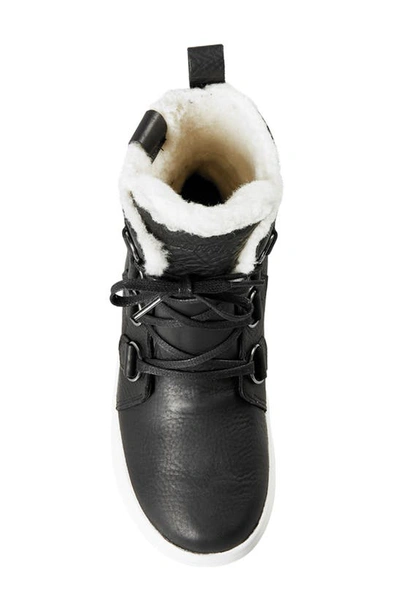 Baffin High Park Waterproof Winter Boot In Black