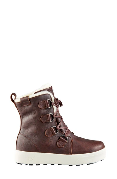 Baffin High Park Waterproof Winter Boot In Brown